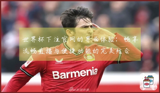世界杯下注官网的界面体验：畅享流畅直播与便捷功能的完美结合