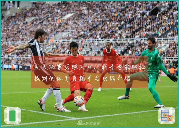 五大联赛买球入口：新手也能轻松找到的体育直播平台功能介绍