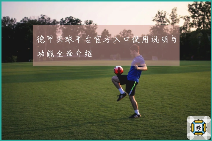 德甲买球平台官方入口使用说明与功能全面介绍