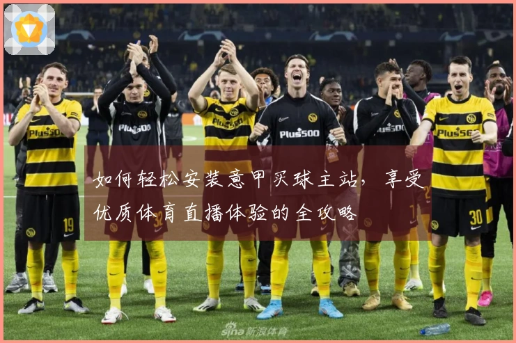 如何轻松安装意甲买球主站，享受优质体育直播体验的全攻略