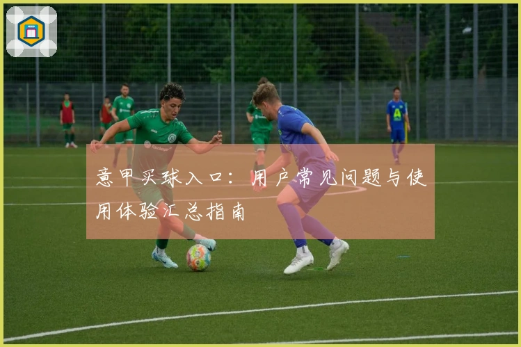 意甲买球入口：用户常见问题与使用体验汇总指南