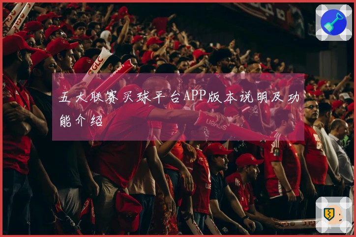 五大联赛买球平台APP版本说明及功能介绍