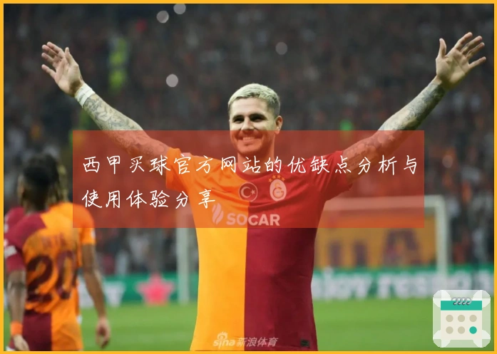 西甲买球官方网站的优缺点分析与使用体验分享