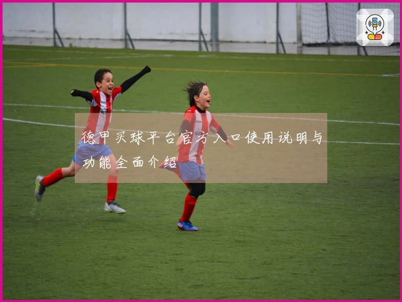 德甲买球平台官方入口使用说明与功能全面介绍