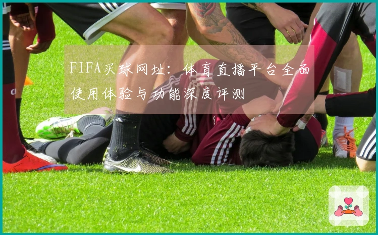 FIFA买球网址：体育直播平台全面使用体验与功能深度评测